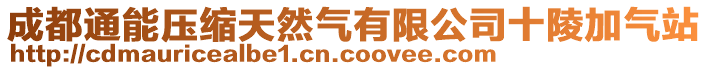 成都通能壓縮天然氣有限公司十陵加氣站