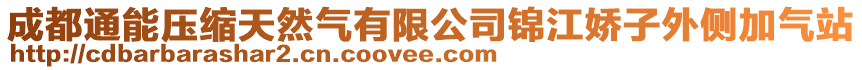 成都通能壓縮天然氣有限公司錦江嬌子外側加氣站