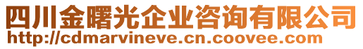 四川金曙光企業(yè)咨詢有限公司