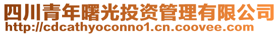 四川青年曙光投資管理有限公司