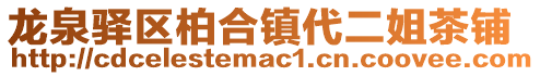 龍泉驛區(qū)柏合鎮(zhèn)代二姐茶鋪