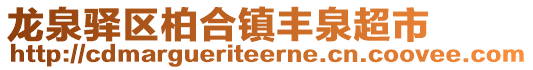 龍泉驛區(qū)柏合鎮(zhèn)豐泉超市