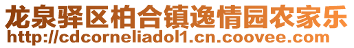 龍泉驛區柏合鎮逸情園農家樂