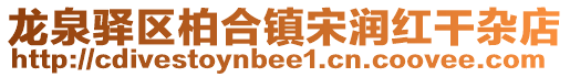 龍泉驛區柏合鎮宋潤紅干雜店
