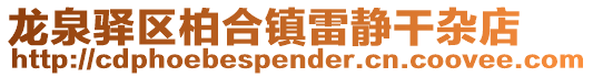 龍泉驛區柏合鎮雷靜干雜店