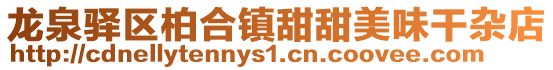 龍泉驛區柏合鎮甜甜美味干雜店