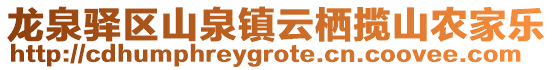 龍泉驛區(qū)山泉鎮(zhèn)云棲攬山農(nóng)家樂(lè)