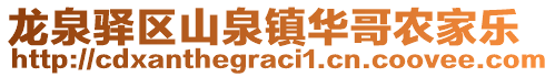 龍泉驛區(qū)山泉鎮(zhèn)華哥農(nóng)家樂