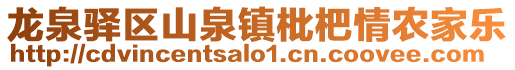 龍泉驛區山泉鎮枇杷情農家樂
