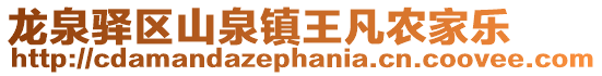龍泉驛區(qū)山泉鎮(zhèn)王凡農(nóng)家樂