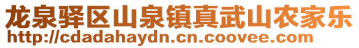 龍泉驛區山泉鎮真武山農家樂