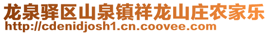 龍泉驛區(qū)山泉鎮(zhèn)祥龍山莊農(nóng)家樂