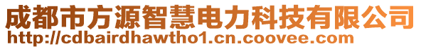 成都市方源智慧電力科技有限公司