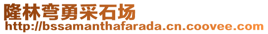 隆林弯勇采石场