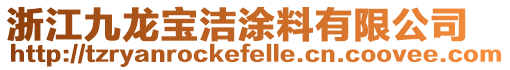 浙江九龍寶潔涂料有限公司