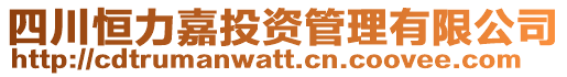 四川恒力嘉投資管理有限公司