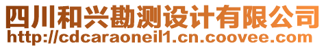 四川和興勘測設(shè)計(jì)有限公司