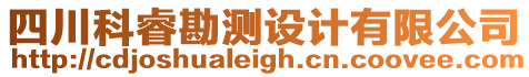 四川科?？睖y設(shè)計有限公司