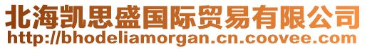 北海凱思盛國(guó)際貿(mào)易有限公司
