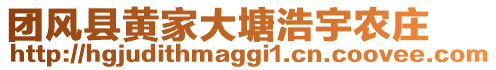 團(tuán)風(fēng)縣黃家大塘浩宇農(nóng)莊