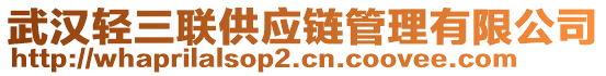 武漢輕三聯(lián)供應(yīng)鏈管理有限公司