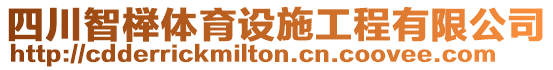 四川智櫸體育設施工程有限公司