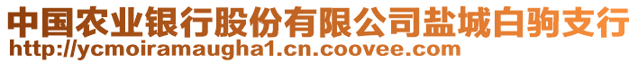 中國(guó)農(nóng)業(yè)銀行股份有限公司鹽城白駒支行