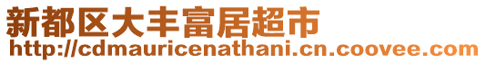 新都區(qū)大豐富居超市