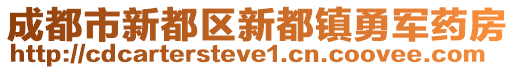 成都市新都區(qū)新都鎮(zhèn)勇軍藥房