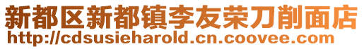 新都區新都鎮李友榮刀削面店