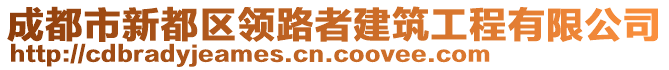 成都市新都區(qū)領(lǐng)路者建筑工程有限公司