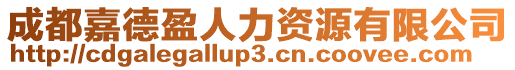 成都嘉德盈人力資源有限公司