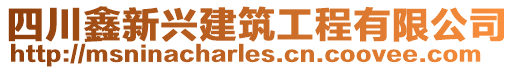 四川鑫新興建筑工程有限公司