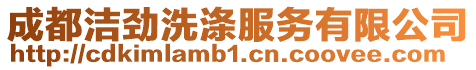 成都潔勁洗滌服務有限公司