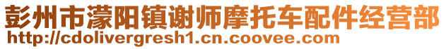 彭州市濛陽鎮(zhèn)謝師摩托車配件經營部