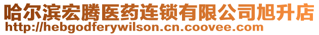 哈爾濱宏騰醫(yī)藥連鎖有限公司旭升店