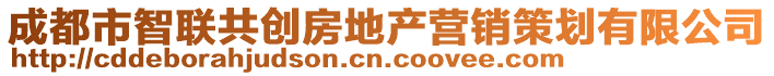 成都市智聯(lián)共創(chuàng)房地產(chǎn)營(yíng)銷策劃有限公司