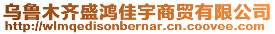 烏魯木齊盛鴻佳宇商貿(mào)有限公司