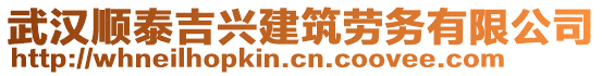 武漢順泰吉興建筑勞務(wù)有限公司