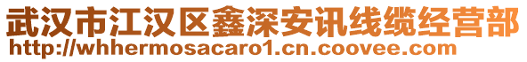 武漢市江漢區(qū)鑫深安訊線纜經(jīng)營部