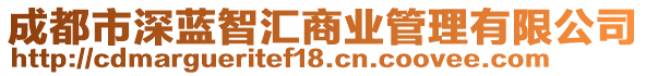 成都市深藍(lán)智匯商業(yè)管理有限公司