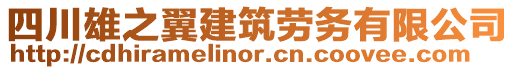 四川雄之翼建筑劳务有限公司