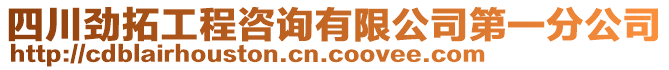 四川勁拓工程咨詢有限公司第一分公司