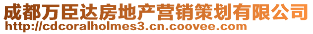 成都万臣达房地产营销策划有限公司