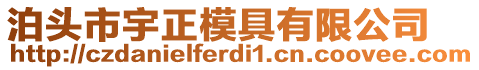 泊頭市宇正模具有限公司