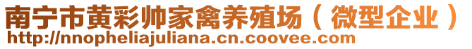 南寧市黃彩帥家禽養(yǎng)殖場(chǎng)（微型企業(yè)）