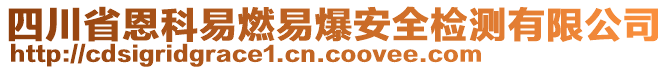 四川省恩科易燃易爆安全檢測(cè)有限公司