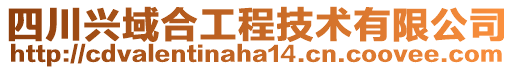 四川興域合工程技術(shù)有限公司