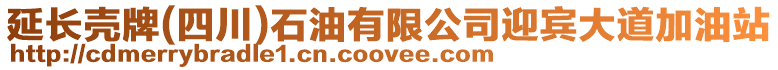 延长壳牌(四川)石油有限公司迎宾大道加油站