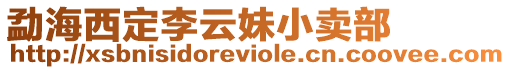 勐海西定李云妹小賣部